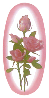 DASOV 072 Camoe Roses PINK (11011990) Matthews